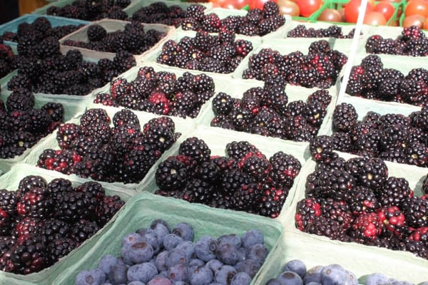 Hip Donelson Farmers Market by null