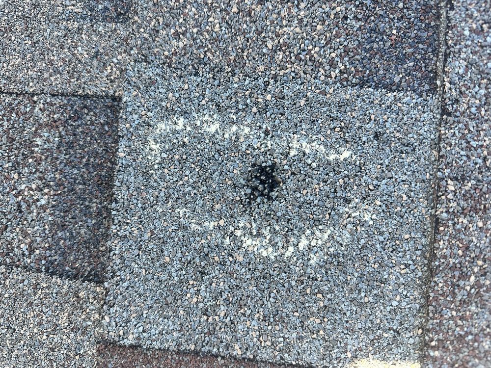 Slide of Polar Bear Roofing and Restoration