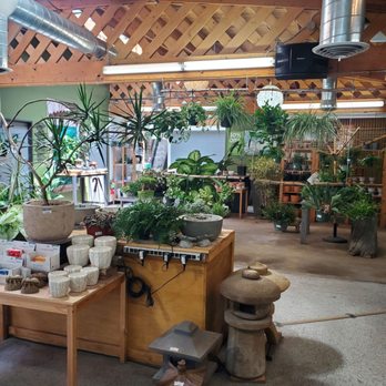 Birdsall & Co - Nurseries & Gardening Near Me - Englewood, Colorado Birdsall & Co - Nurseries & Gardening Near Me - Englewood, Colorado