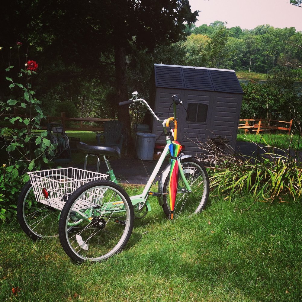 PEDAL BICYCLES 28 Reviews 611 W Michigan Ave, Kalamazoo, MI Yelp