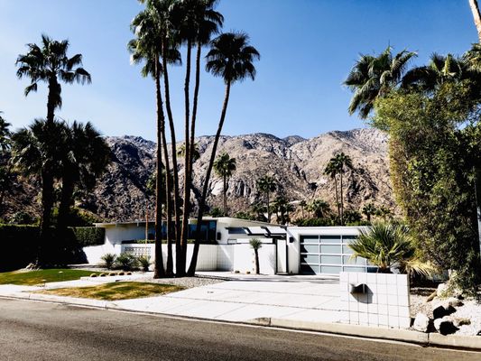 Palm Springs Mod Squad (Architecture Tours) by null