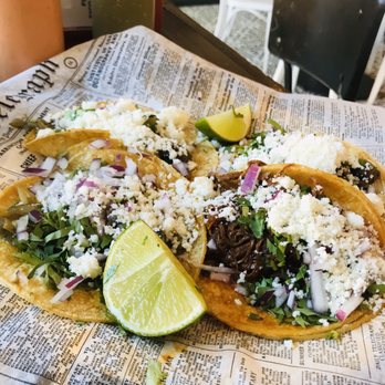Jarabe - Mojo Mushrooms Taco, Birria Taco (Lamb), Carne Asada Taco - Mexican Near Me - Chicago, Illinois Jarabe - Mojo Mushrooms Taco, Birria Taco (Lamb), Carne Asada Taco - Mexican Near Me - Chicago, Illinois