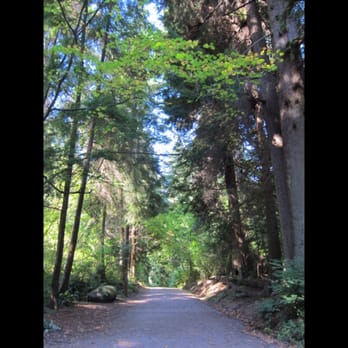 Stanley Park - Parks Near Me - Vancouver, British Columbia Stanley Park - Parks Near Me - Vancouver, British Columbia