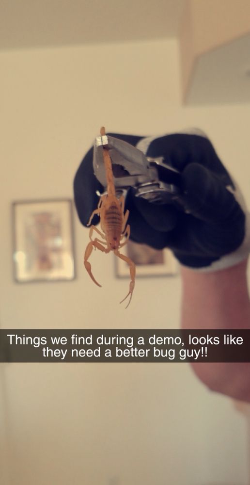 HERITAGE PEST CONTROL 1112 Blakes Field Pl, Henderson, Nevada Pest Control Phone Number Yelp