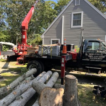Scott David Tree and Land - Tree Services Near Me