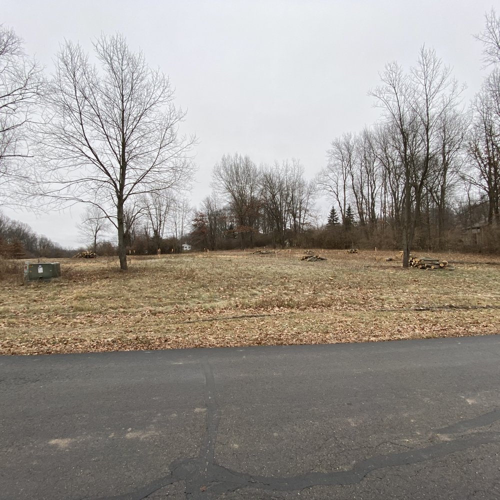 SHR Tree - After - Tree Services Near Me SHR Tree - After - Tree Services Near Me