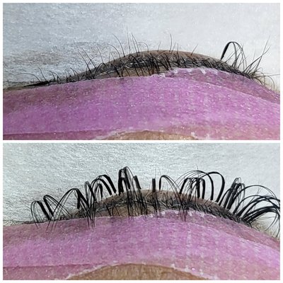 Virtue Lash by null