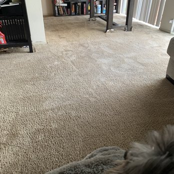 Alex Carpet Cleaning - This rug was covered in foot traffic stains. You can't even tell where the traffic was! - Carpet Cleaning Near Me