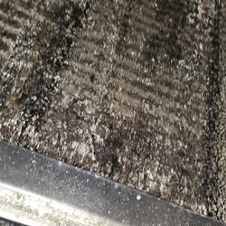 Alfredo Lopez Air Duct Cleaning - Air Handle cooling coil inside the house with mold.