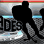 Photo of Blades Custom Skate