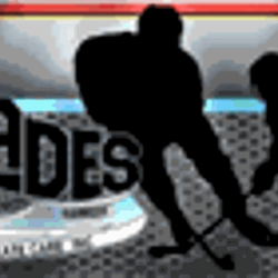 Blades Custom Skate - Logo