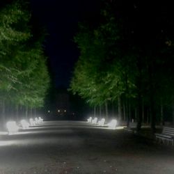 Lichtbank-Installation „UVA-UVB“ - Weg zu den leuchtenden Parkbänken