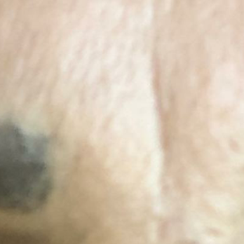 Salon 310-IIIX - Does this look like microblading to you?! Giving it the last two weeks for the so called healing time.I want my money back! - Hair Salons Near Me - Carson, California Salon 310-IIIX - Does this look like microblading to you?! Giving it the last two weeks for the so called healing time.I want my money back! - Hair Salons Near Me - Carson, California