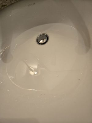 The Sewanee Inn by null