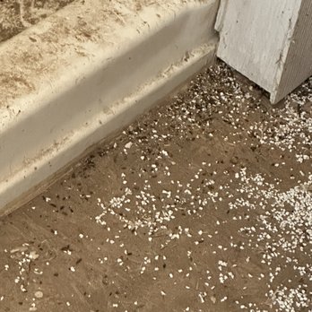 Acacia Riding Adventures - Rodent feces in bathroom - Horseback Riding Near Me - San Acacia, New Mexico Acacia Riding Adventures - Rodent feces in bathroom - Horseback Riding Near Me - San Acacia, New Mexico