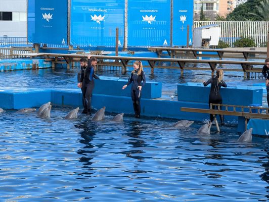 Oceanogràfic València by null