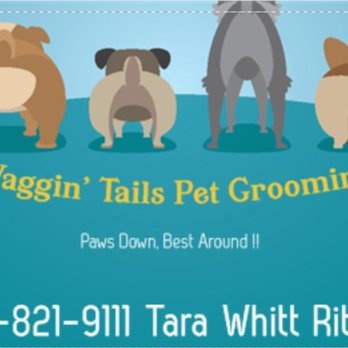 Waggin Tails Pet Grooming - Pet Sitting Near Me - Spruce Pine, North Carolina Waggin Tails Pet Grooming - Pet Sitting Near Me - Spruce Pine, North Carolina