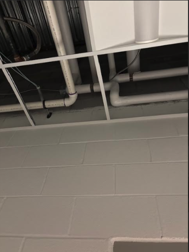 Slide of Treybeon cooper