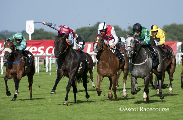 Ascot Racecourse by null