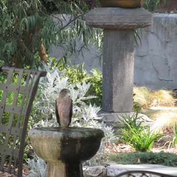 FormLA Landscaping - Red tailed hawk, reclaimed birdbath, Native Garden Tour 2009, 2012 - Landscaping Near Me