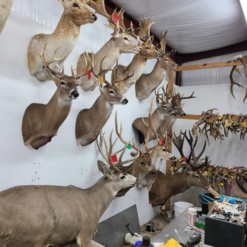 Killian's Meat Market, Deer Processing, Taxidermy & BBQ - Butcher Near Me - Hempstead, Texas