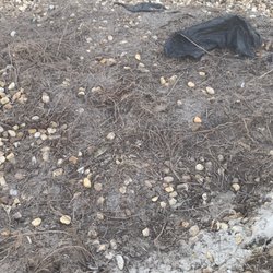Triple D Services - Damaged Rocks