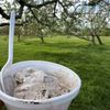 Rich Farm Ice Cream gift card