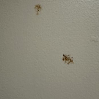 Luxe Rehabilitation Center at Jupiter - Fecal matter on the bathroom wall in my Dad's room. - Rehabilitation Center Near Me - Jupiter, Florida Luxe Rehabilitation Center at Jupiter - Fecal matter on the bathroom wall in my Dad's room. - Rehabilitation Center Near Me - Jupiter, Florida