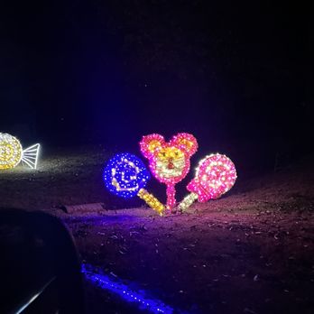 Starry Nights - Festivals Near Me - Memphis, Tennessee