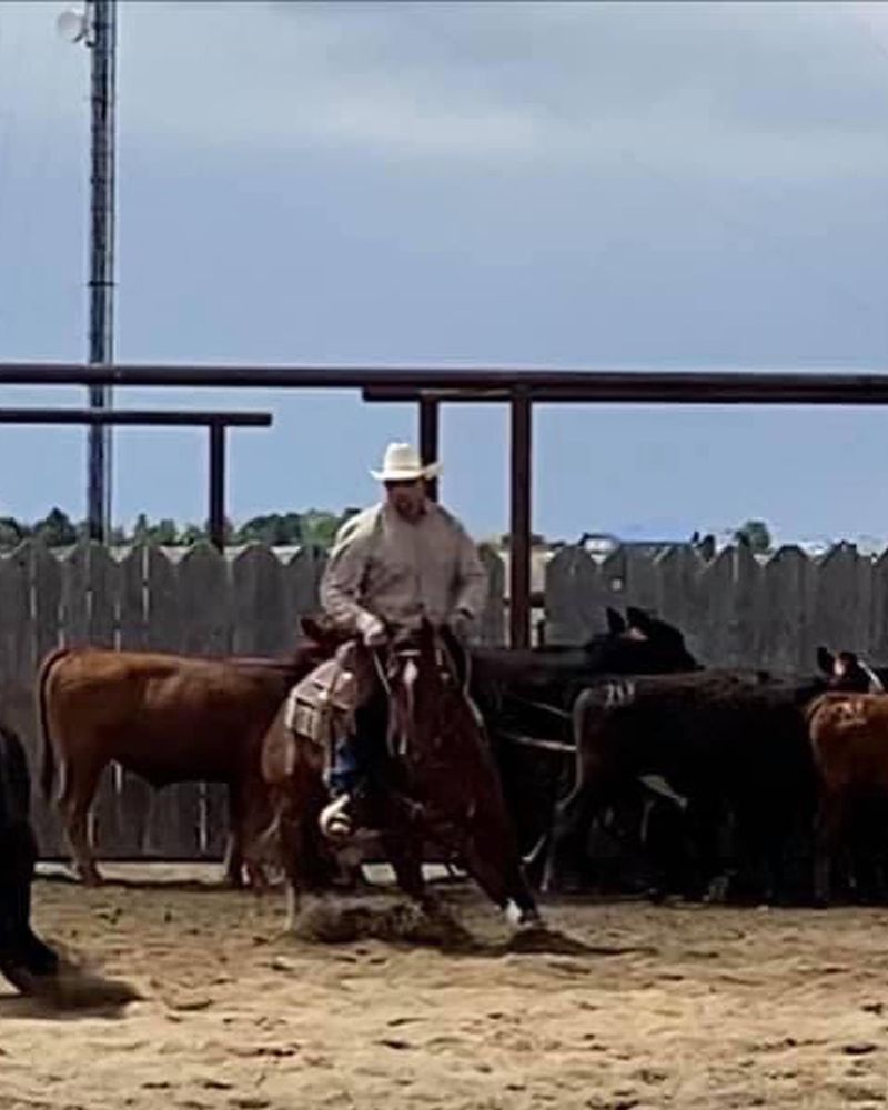 Talbert Performance Horses - equestrian in Kuna, ID