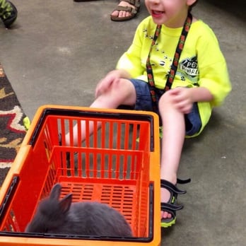 Pet World - Bunny! - Pet Stores Near Me - Lawrence, Kansas Pet World - Bunny! - Pet Stores Near Me - Lawrence, Kansas