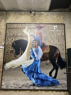 Caballerizas Reales by null