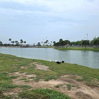 Municipal Park - Duck pond - Parks Near Me - Edinburg, Texas Municipal Park - Duck pond - Parks Near Me - Edinburg, Texas