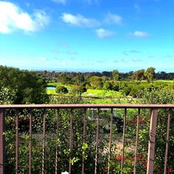Palos Verdes Golf Club