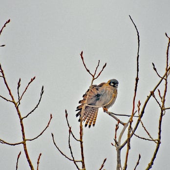 REDSTONE PARK - Updated March 2026 - 32 Photos & 10 Reviews - 3280