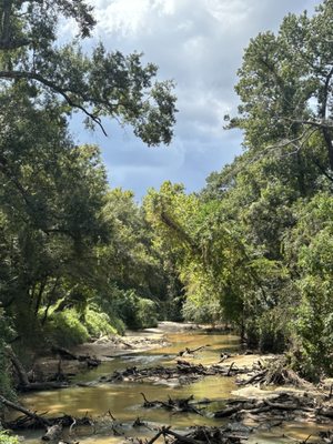 George Mitchell Nature Preserve by null