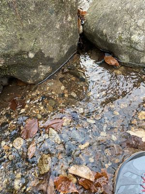 Jones Gap State Park by null