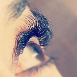 Lash Bar