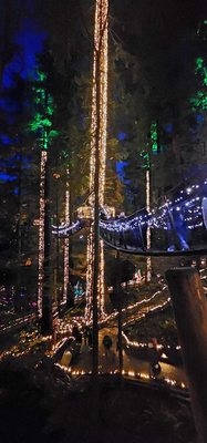 Capilano Suspension Bridge Park by null