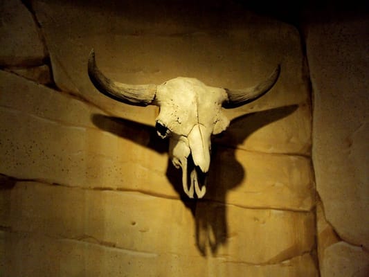 C. M. Russell Museum by null