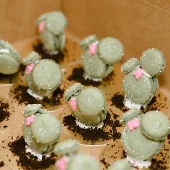Baked By Amys - a box of cactus cupcakes - Bakeries Near Me - Austin, Texas Baked By Amys - a box of cactus cupcakes - Bakeries Near Me - Austin, Texas