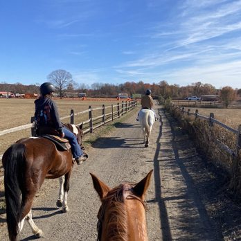 Handy Acres Farm - Horseback Riding Near Me - New Egypt, New Jersey Handy Acres Farm - Horseback Riding Near Me - New Egypt, New Jersey