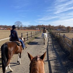 Handy Acres Farm