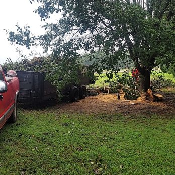 Brian's Tree and Handyman Services - Handyman Near Me Brian's Tree and Handyman Services - Handyman Near Me