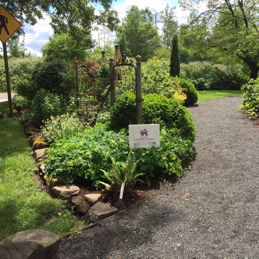 Rogerson Clematis Garden - Botanical Gardens Near Me - West Linn, Oregon