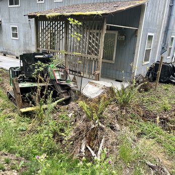 Rise & Grind Stump Grinding - Before and after - Tree Services Near Me Rise & Grind Stump Grinding - Before and after - Tree Services Near Me