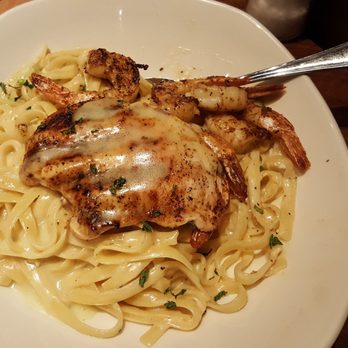Outback Steakhouse - Queensland chicken and shrimp pasta - Steakhouses Near Me - Skokie, Illinois Outback Steakhouse - Queensland chicken and shrimp pasta - Steakhouses Near Me - Skokie, Illinois