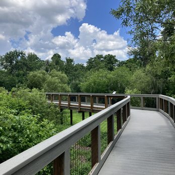 Lettuce Lake Park - brilliant boardwalk - Parks Near Me - Tampa, Florida