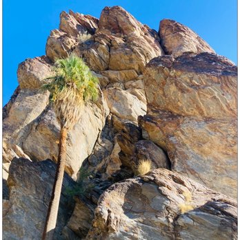 Indian Canyons - I took a shortcut. Up and up I go. :D - Parks Near Me - Palm Springs, California