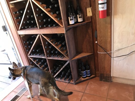 Helvetia Vineyards & Winery by null